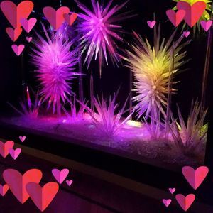 Meet your Posher, Richard